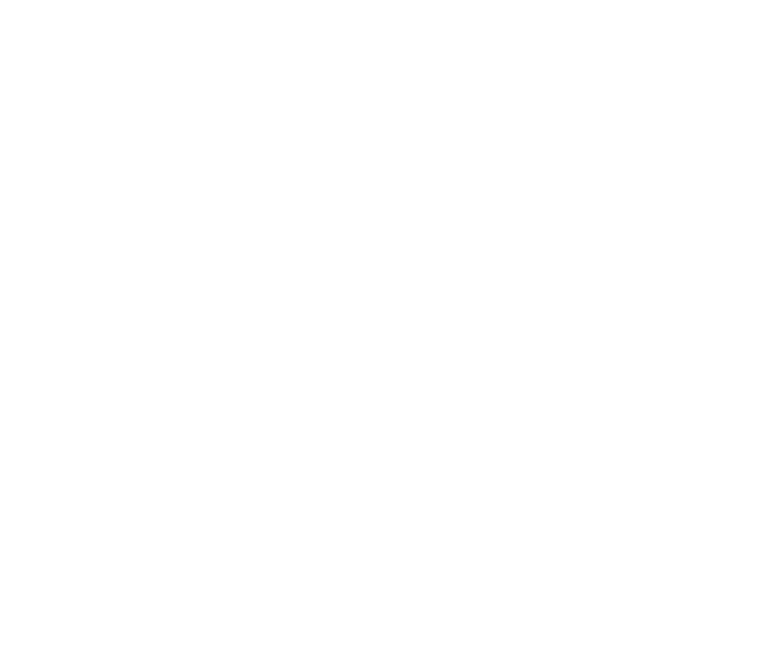2P logo